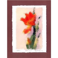 Colour L.E. Lithography "Hippeastrum" #2212111