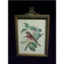 Bird on Branch - Vintage Framed Print #2212258
