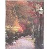 Image 1 : Lithia Park photograph by Patrick Moore #2212855