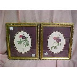 Beautiful Botanical Prints #2224579