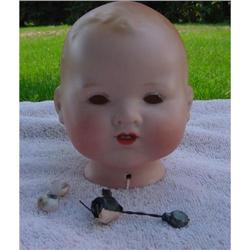 Doll Bisque Baby Head AM 351/4 Germany #2237313