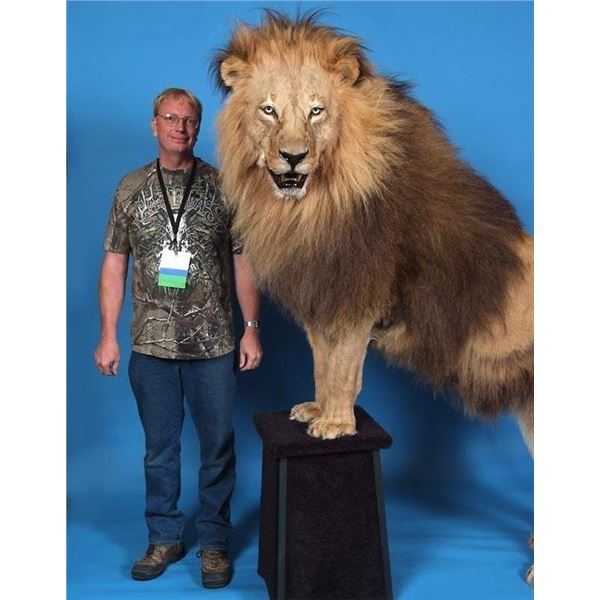$3,000.00 Custom Taxidermy Work