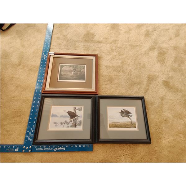 Canadian Bird Prints by Don Li-Leger