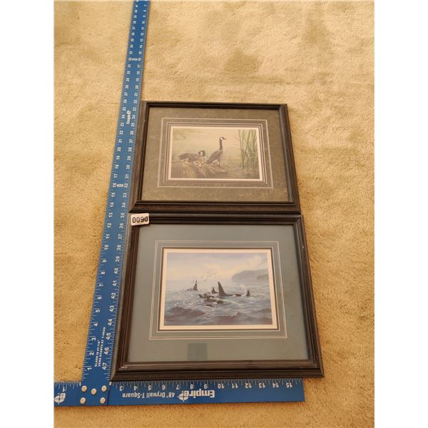 Nature Scenes by Lissa Calvert