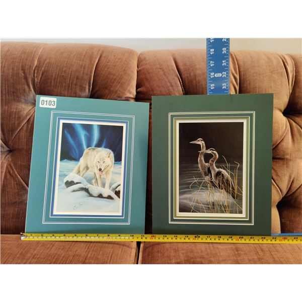 Animals at Night by Debi Fitzgerald