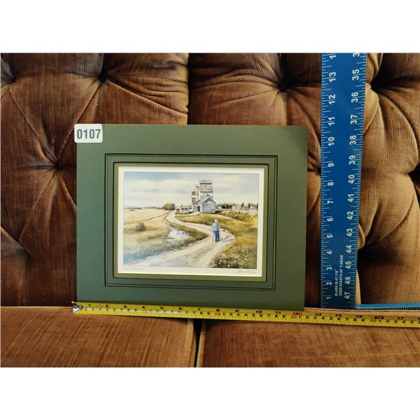 Prairie Summer by Joan Healey