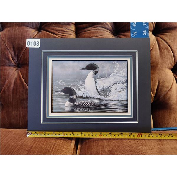 Morning Display - Common Loons by John Seerey-Lester