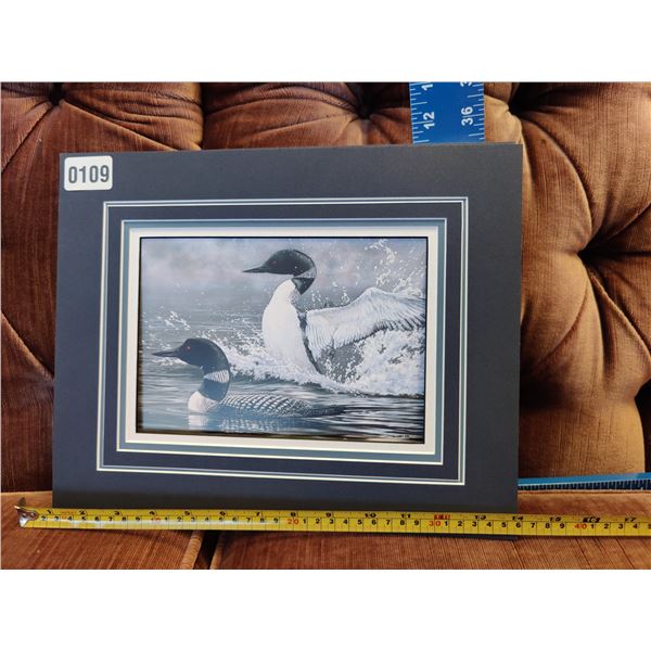 Morning Display - Common Loons by John Seerey-Lester