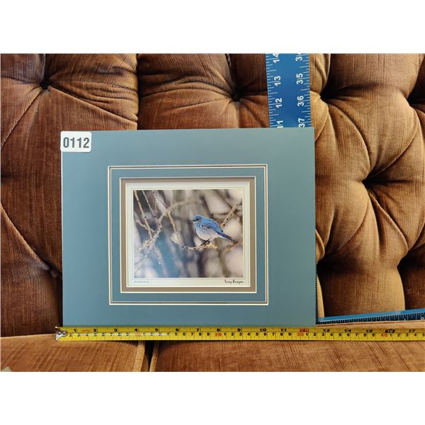 Mountain Jewel by Terry Berezan