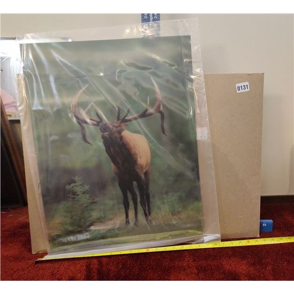3D Elk Photograph