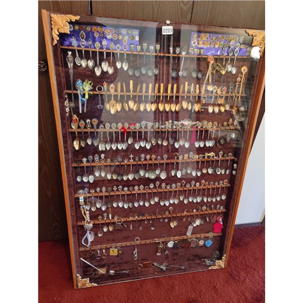 Souvenir Spoon Collection