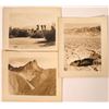 Image 1 : Death Valley and Palm Desert Photographs by Stephen H. Willard  [137983]