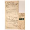 Image 1 : Texas Documents (2)  [139217]