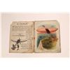 Image 2 : In Cloudland a book by Samuel Gabriel Sons & Company 1918  [140016]