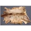Image 1 : Elk? Fur Rug Mount  [139809]