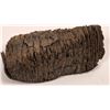Image 2 : Fossilized Mammoth Tooth, Polished  [140419]
