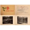 Image 1 : Prospectus Booklet for Rose Gold Mine  [140514]