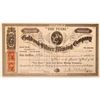 Image 1 : "The Pearl" Gold & Silver Mining Co. Stock Certificate  [107722]