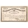 Image 1 : Lucky Boy Gold & Silver Mine Stock Certificate  [128117]