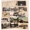 Image 1 : Big Trees / Yosemite / High Sierra Post Card Collection  [130440]