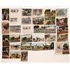 Image 1 : Cawston Ostrich Farm Vintage Post Card Collection (30 pieces)  [138229]