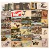 Image 1 : Birds/Waterfowl Post Card Collection (65)  [139055]