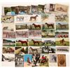 Image 1 : Horses Post Card Collection (84)  [139058]