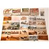 Image 1 : Postcard Collection: Camels  [136225]