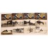 Image 1 : Rodeo Postcard Collection  [139087]