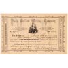 Image 1 : Dark Hollow Mining Company Stock Certificate  [107766]