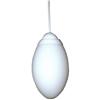 Image 1 : Vianne Hanging Light / Ceiling Lamp #2223261