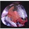 Image 1 : Caithness Paperweight.  #2223517