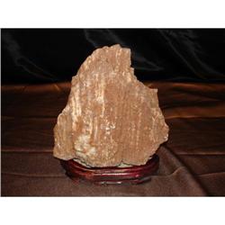 Chinese Scholar's Rock of Spirit of Guangxi #2240751