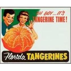 4 VINTAGE FLORIDA JUICE SIGNS * OLD VINTAGE SET#2240991