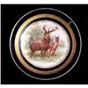 Image 1 : European Porcelain Decorative Plate #2241254