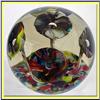 Image 1 : VINTAGE ART GLASS PAPERWEIGHT W 5 ANEMONE #2242040