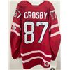 Image 1 : SIDNEY CROSBY SIGNED TEAM CANADA 2010 OLYMPICS LIMITED EDITION JERSEY ( FRMAEWORTH COA)