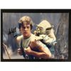 Image 1 : MARK HAMILL AND FRANK OZ SIGNED STAR WARS 8 X 10 ( RA COA)