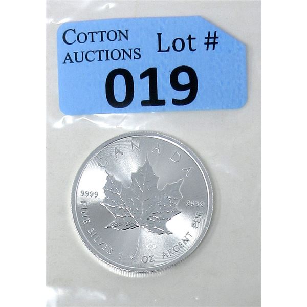 1 Oz .9999 Fine Silver 2019 Canada Maple Leaf Coin