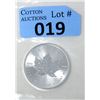 Image 1 : 1 Oz .9999 Fine Silver 2019 Canada Maple Leaf Coin