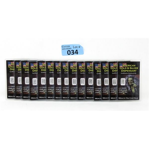 15 x 2.5 Grain .999 Silver "The Witch" Bars