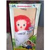 Image 1 : 19" Raggedy Ann In Box 1979 By Knickerbocker #2221914