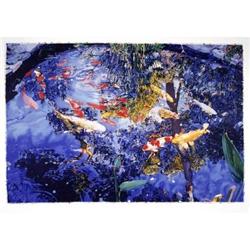 Raffael Pond with goldfish, 2004 #2208103