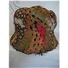 Image 1 : Ladies Multi Colored Feather Hat #2232240