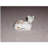 Aynsley  Bone China Cat Box #2232374