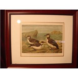 PRINT/LITHOGRAPH PAIR OF DUCKS,SIGNED CK #2176778