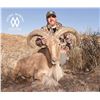 Image 1 : Double Diamond Outfitters Free-Range West Texas Aoudad Hunt