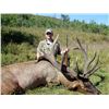 Image 4 : High Caliber Ranch Canadian Elk Hunt