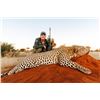 Image 3 : DZOMBO SAFARIS Nambian Leopard Hunt