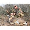 Image 1 : ODIN OUTFITTERS South Texas Whitetail Hunt